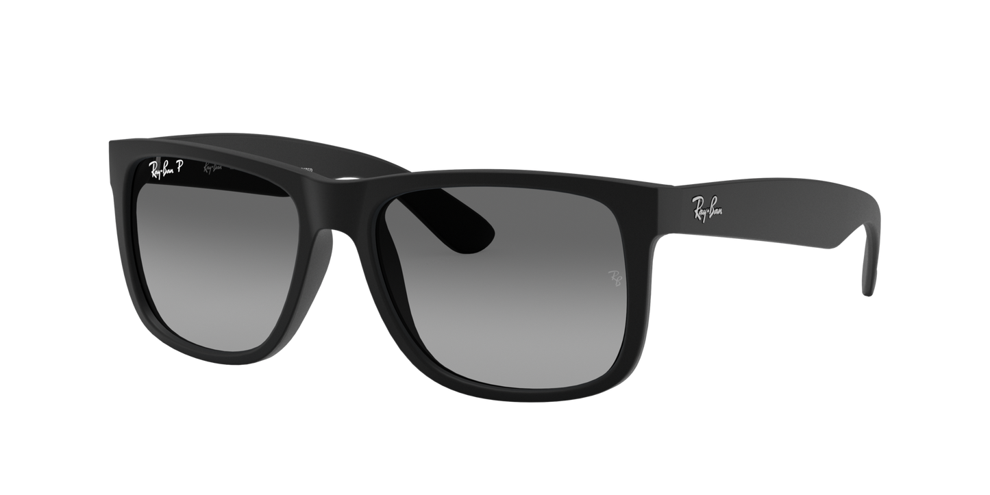 RAY-BAN Justin Black Grey Polar