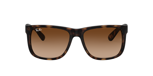 RAY-BAN Justin Light Havana Brown Gradient