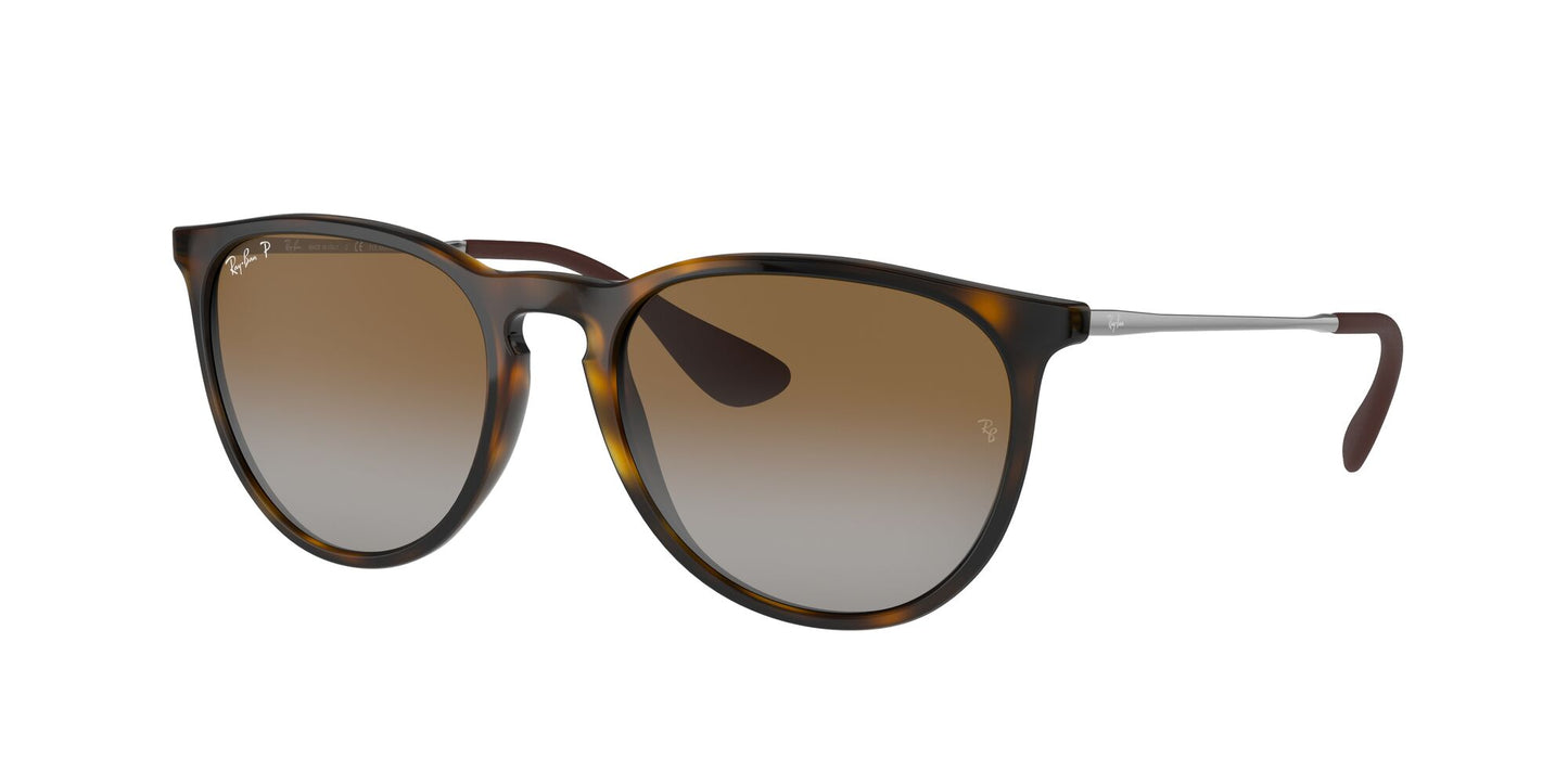 RAY-BAN Erika Classic