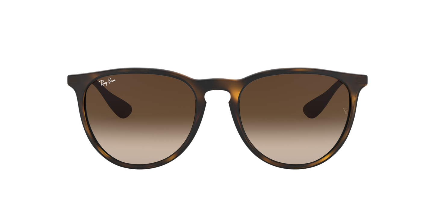 RAY-BAN Erika Avana Gommato Brown Gradient