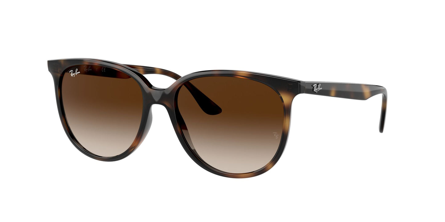RAY-BAN RB4378 Havana w/ Gradient Brown