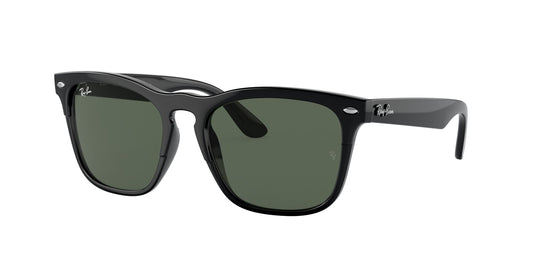 RAY-BAN Steve Black w/ Dark Green
