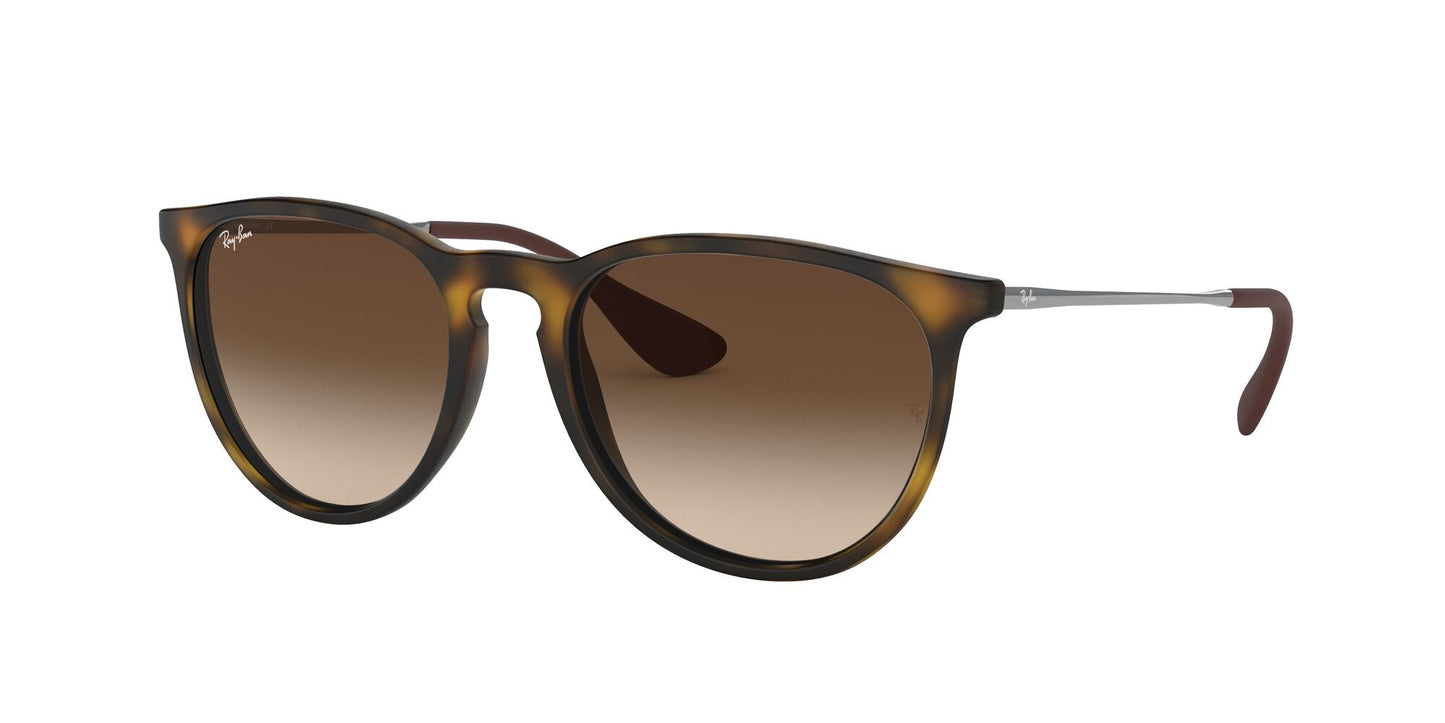 RAY-BAN Erika Avana Gommato Brown Gradient