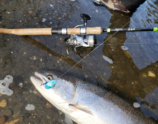 G.Loomis E6X Rod