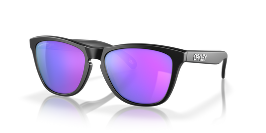 Oakley Frogskins Matte Black w/ Prizm Violet